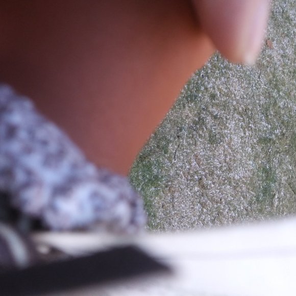 handcrafted Eskimo Bell blueberries - Picture 13 of 15